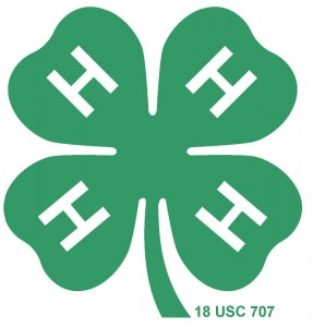 Cover photo for 4-H Clubs After School