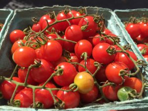 Cover photo for FSMA for Small Produce Farms