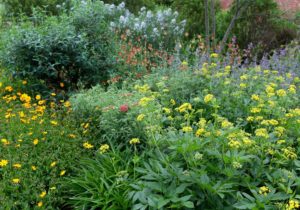 Cover photo for Register Now for Spring Pollinator Workshops & Garden Tours