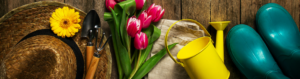 Cover photo for Master Gardener Volunteers in Madison County