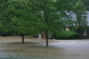 Flooded landscape