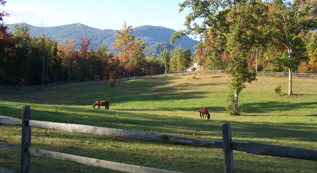 Image of a horse farm