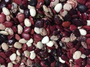 Cover photo for Planting the Seeds of Agritourism