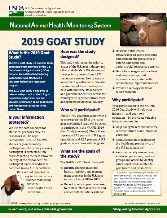 Goat Study page 1 image