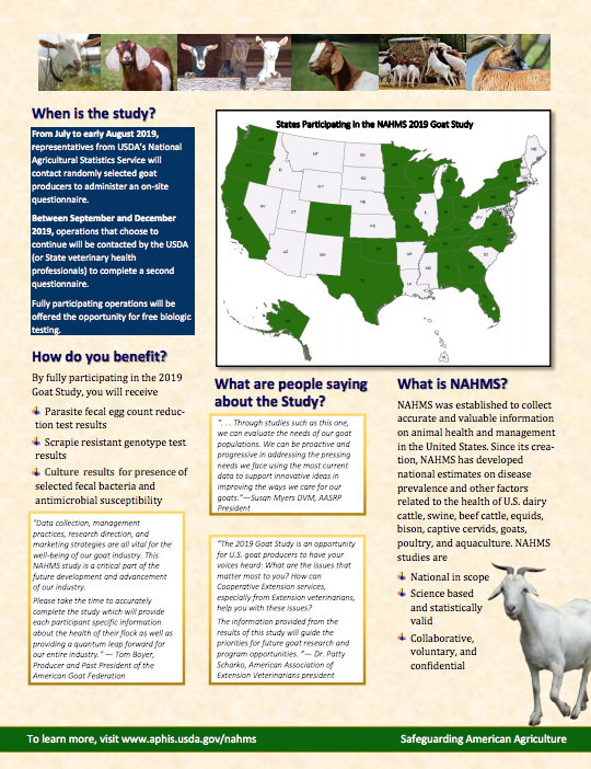 Goat Study page 2 image