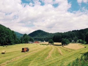 Cover photo for +/- 42 Acres of Pasture and Hay Ground for Lease Near Whittier