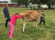 children leading a cow