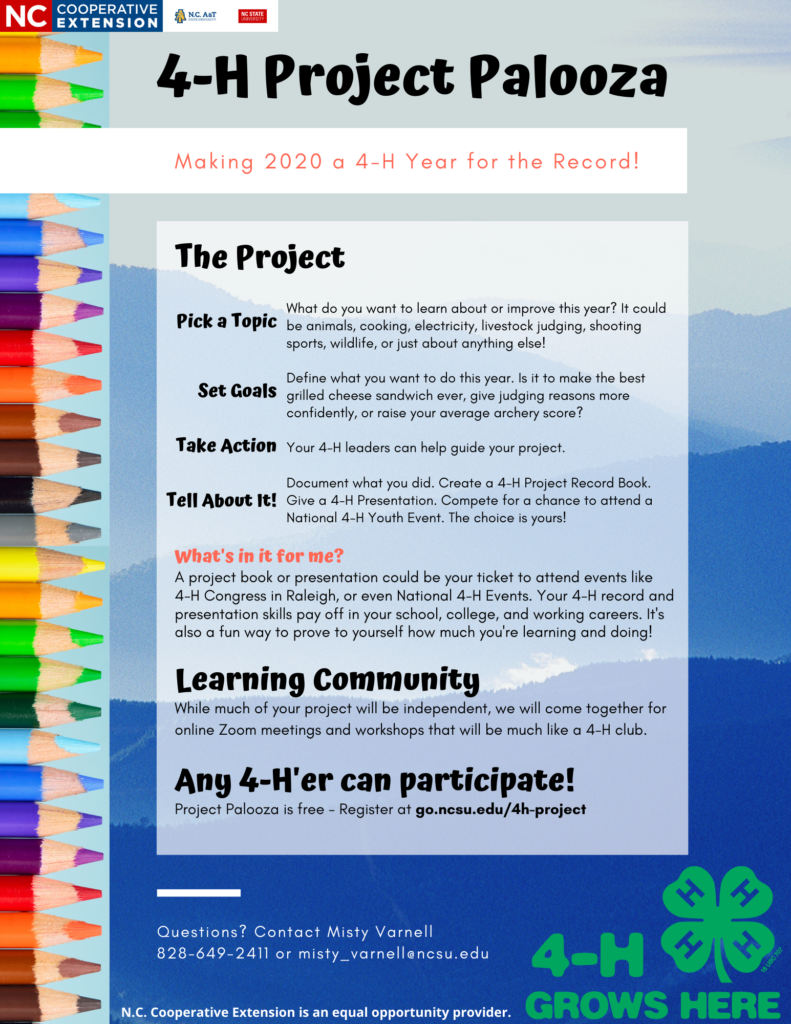 4-H Project Palooza flyer