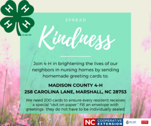 Spread Kindness flyer