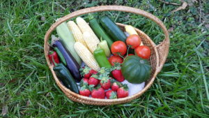 Vegetable Basket