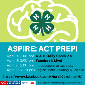 image of flyer