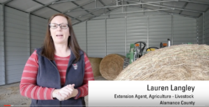 Cover photo for How to Sample Hay Bales for Nutritive Value Analysis