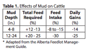 Effects of mud on cattle chart