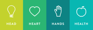 Head, Heart, Hands, Health: the 4 H's