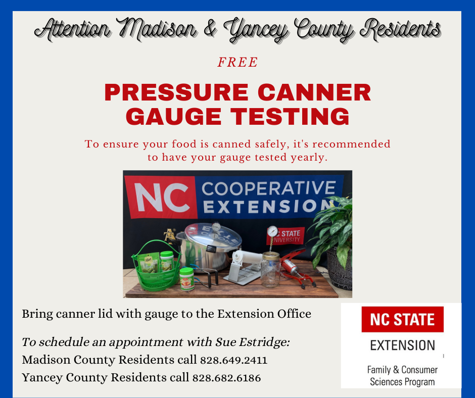 Pressure canner gauge testing