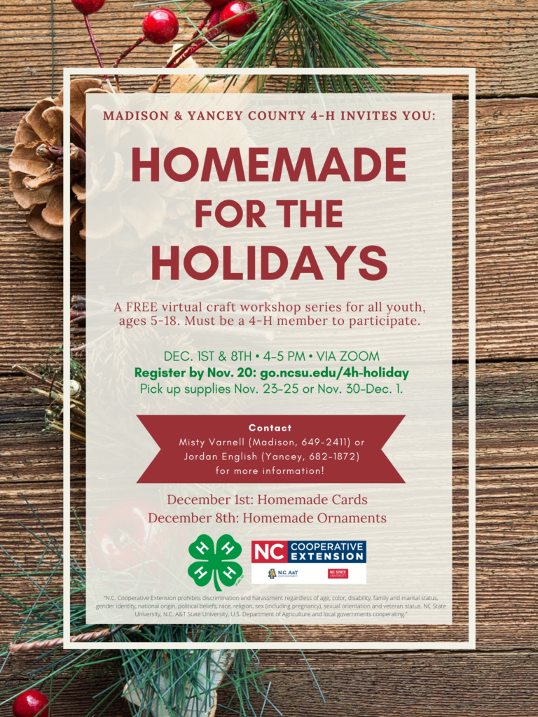 Homemade for the Holidays flyer