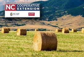 Cover photo for Above Average Hay Resources