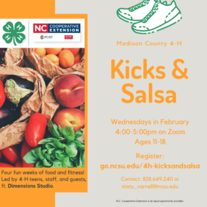 Kicks & Salsa flyer. All info in webpage.