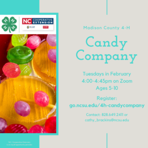 4-H Candy Company Flyer. All text in webpage.