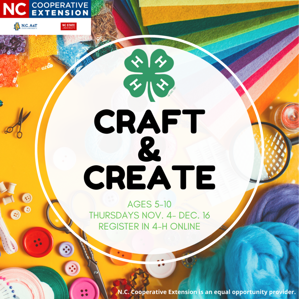 Craft & Create Flyer