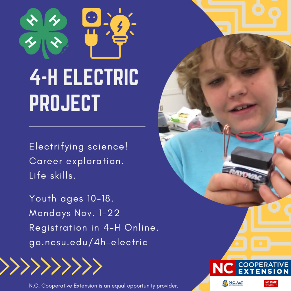 Electric project flyer