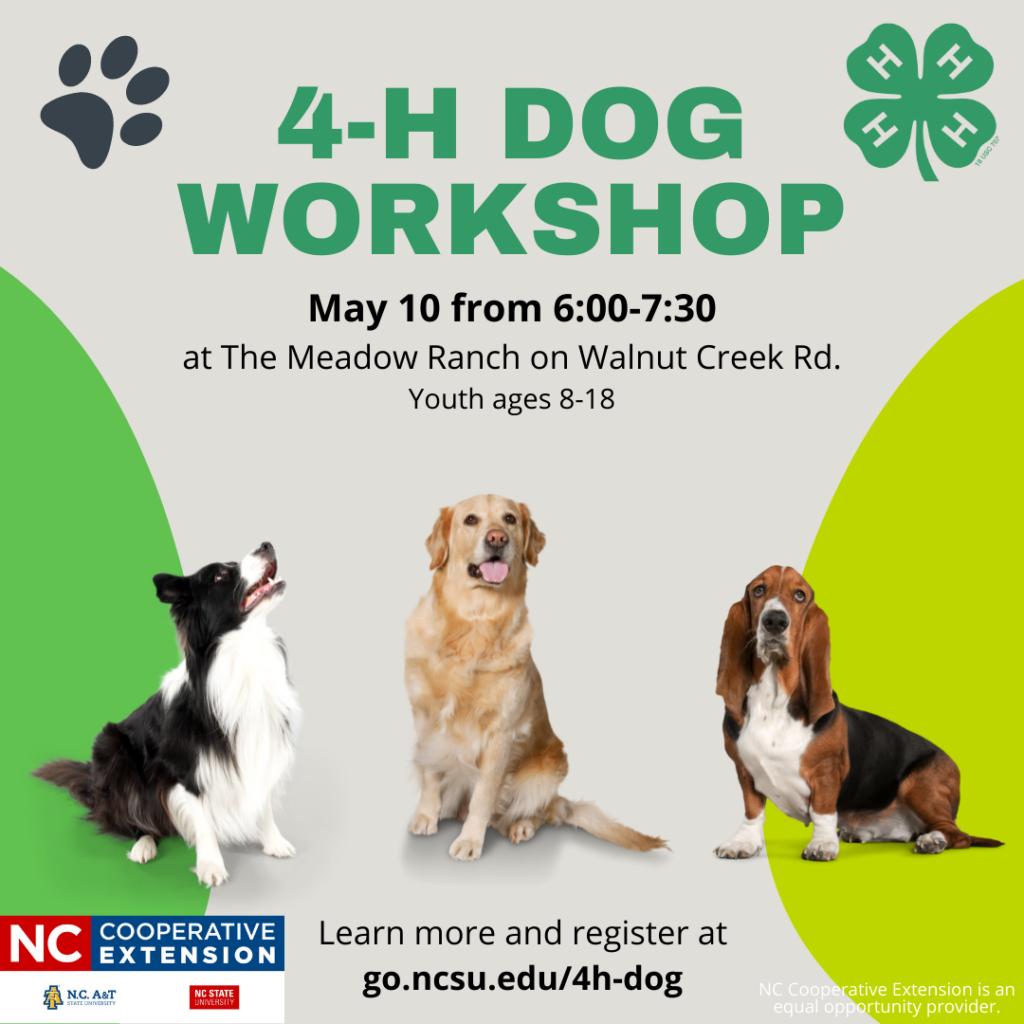 4-H Dog Workshop Flier