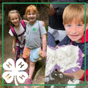Cover photo for 4-H Summer Fun Camps 2022