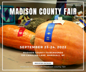 Cover photo for Madison County Fair