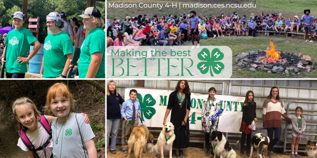 collage of 4-H youth activities