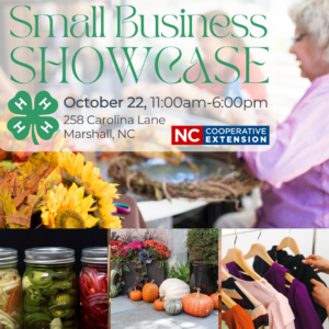 small business showcase, crafts