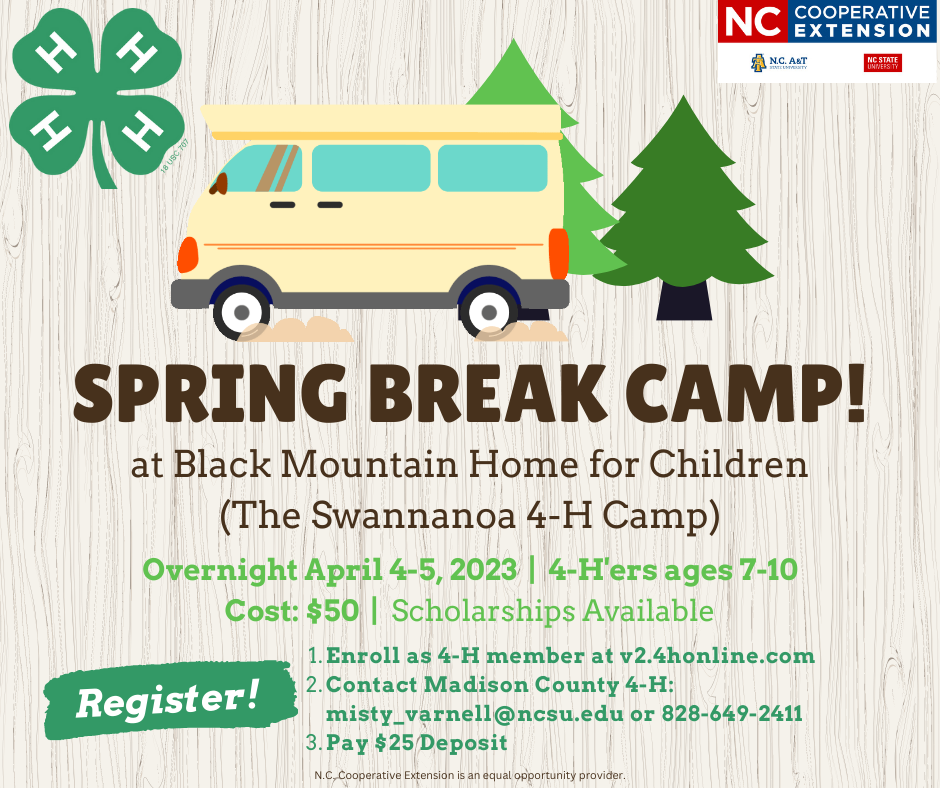 Spring break camp flyer- retro van and trees