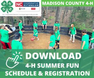 Download Summer Fun Registration image of kids playing ball