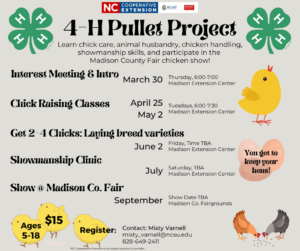 pullet project info