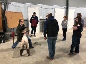 Cover photo for NC 4-H Livestock School