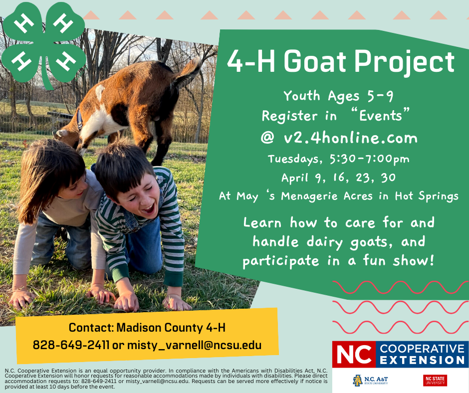 Colorful project info; Picture of boy and girl laughing, with baby goat on their back.